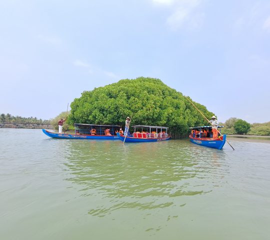 Kadalundi Island Tourism houseboat Packages