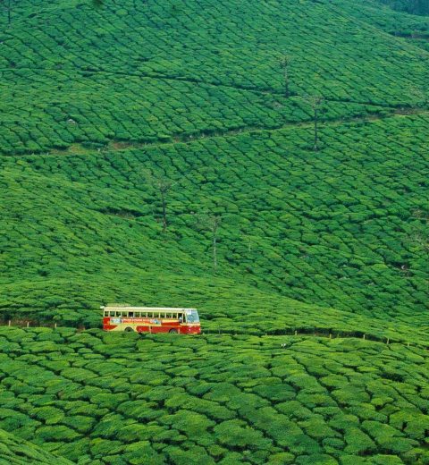 KSRTC Low Floor Bus Timing and Booking Aluva to Calicut