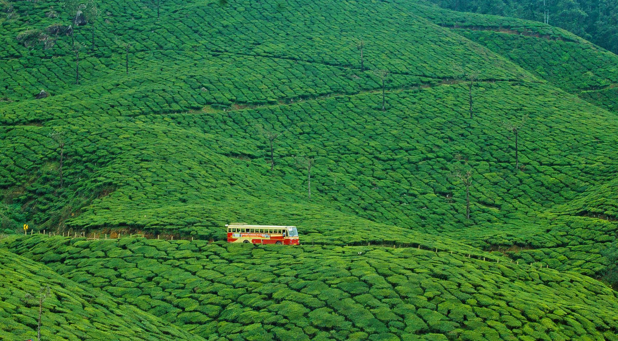 KSRTC Tour Package Cordinators Phone Number