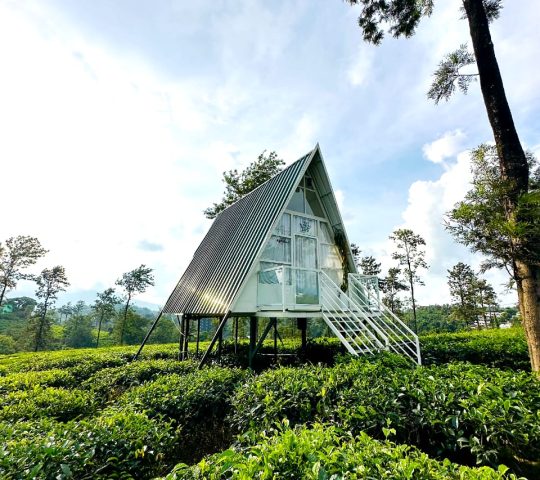 Tea Plantation A-frame stay in Wayanad