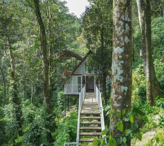 900 Woods Resort