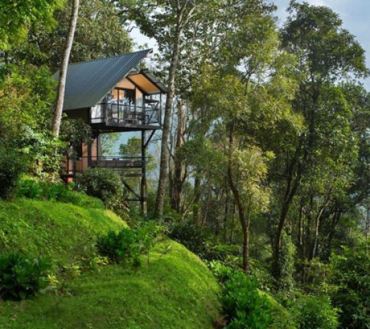 Bamboo Dale Resort