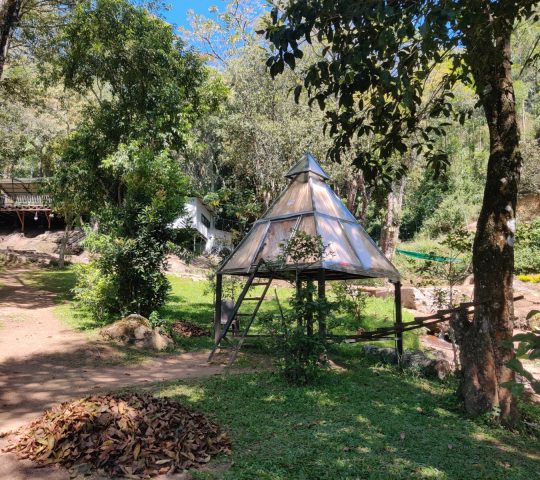 Glass house stay with Waterfall Trekking Munnar