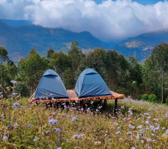 Roamrustic camp Vattavada Munnar