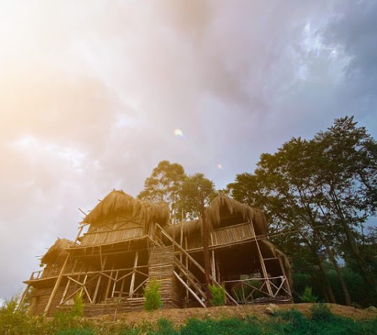 Wood Stone Resort