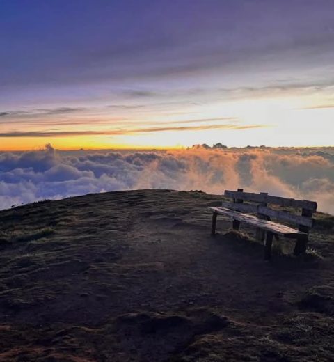 21 Must Visit Tourist places in Vagamon