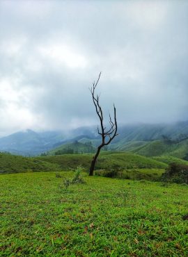 Vagamon