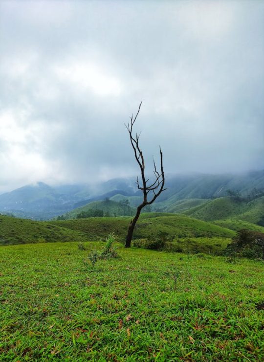 Vagamon