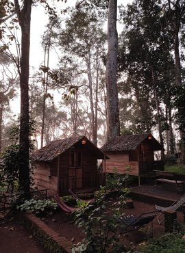 Wayanad