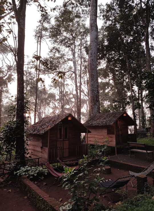 Wayanad